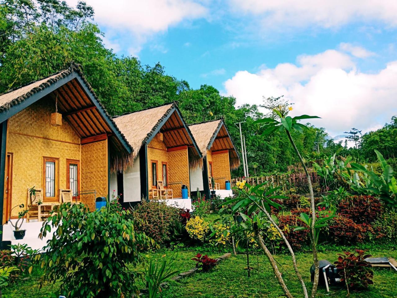 Homestay Aryasuta Tetebatu