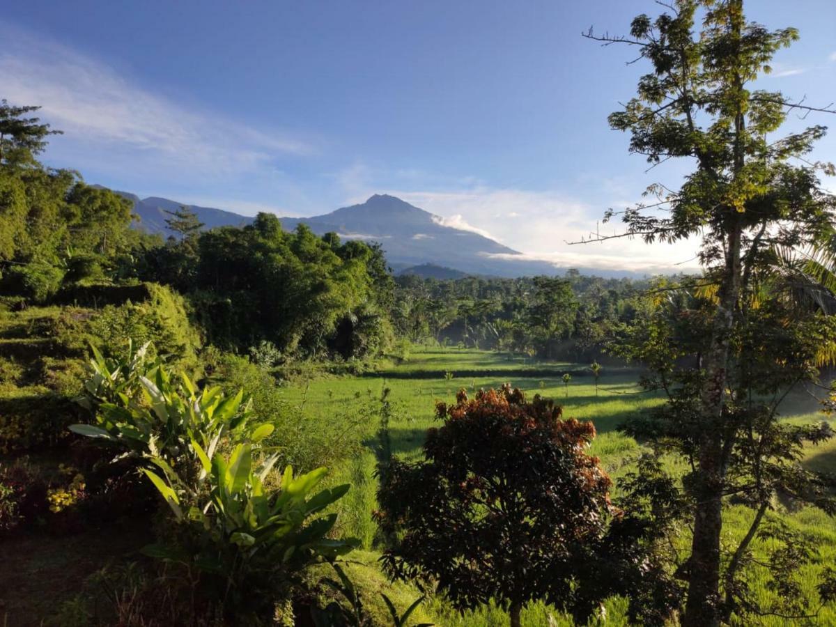 Homestay Aryasuta *