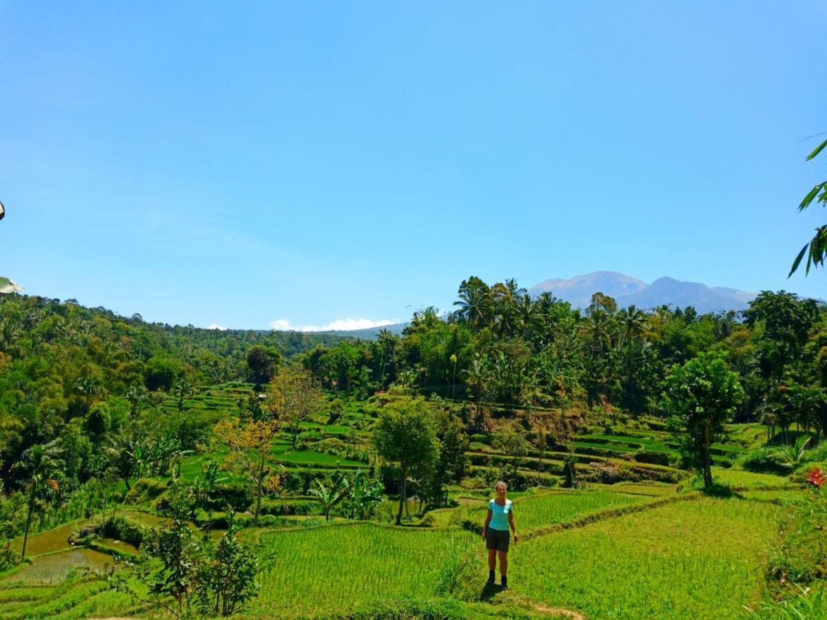 Aryasuta Homestay Tetebatu